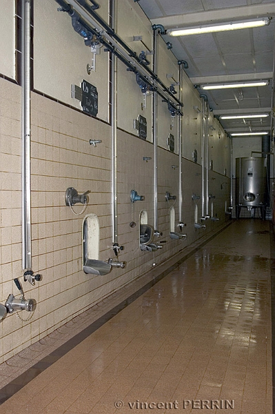 Cuves de vinification.jpg